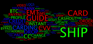 Do You Speak Fraudster?