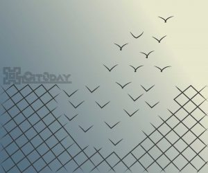 cit0day-featured-picture