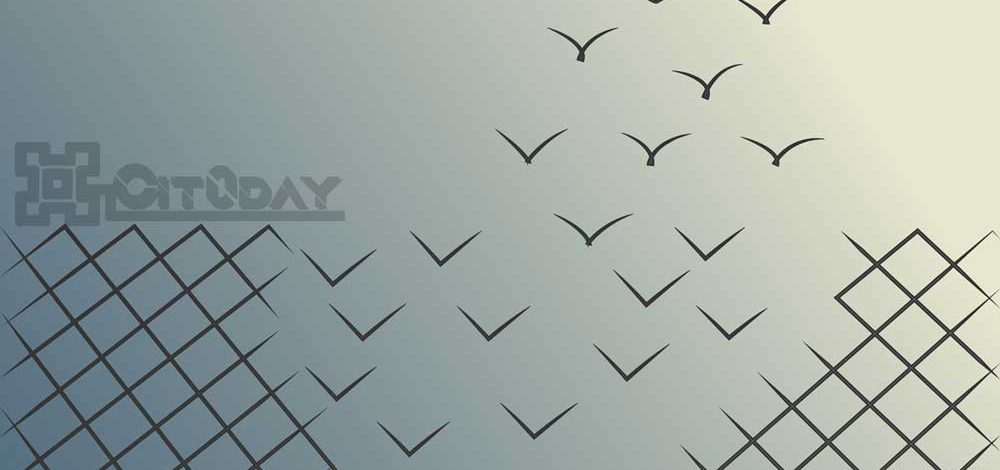 cit0day-featured-picture